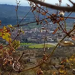 Il Vicoletto Bed and Breakfast