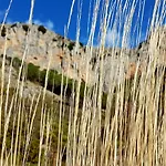 Il Vicoletto Bed and Breakfast Frascineto
