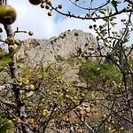 Il Vicoletto 3* Frascineto