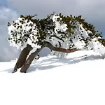 Il Vicoletto Bed and Breakfast Frascineto