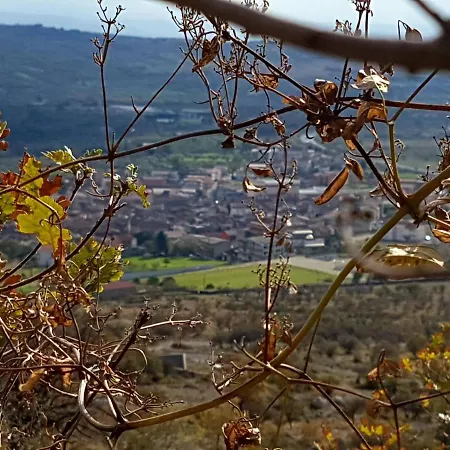 Il Vicoletto Bed and breakfast