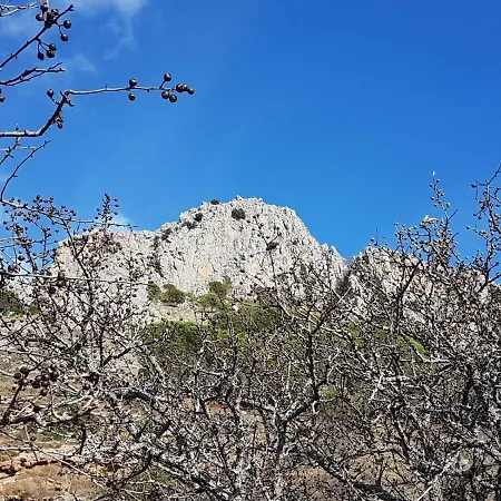 Il Vicoletto 3* Frascineto