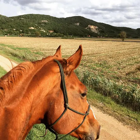 Il Vicoletto Frascineto