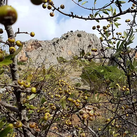 Il Vicoletto 3* Frascineto