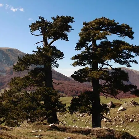 Couette-café Il Vicoletto Frascineto