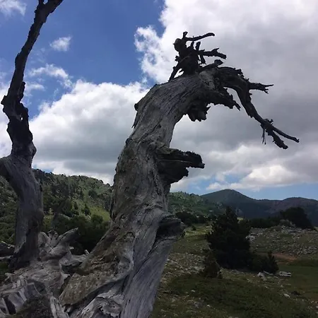Il Vicoletto Frascineto