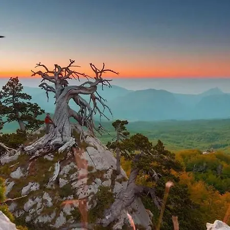 Il Vicoletto Bed & Breakfast