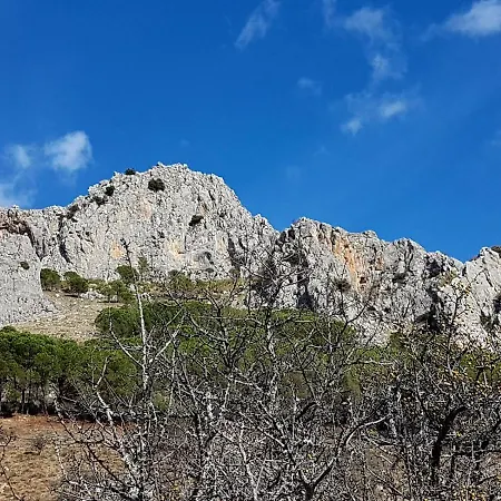 Couette-café Il Vicoletto 3*