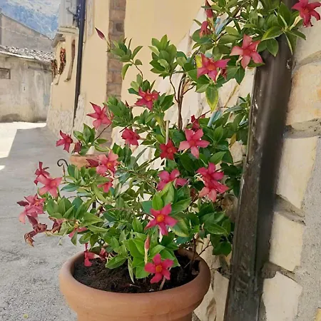 Bed & Breakfast Il Vicoletto