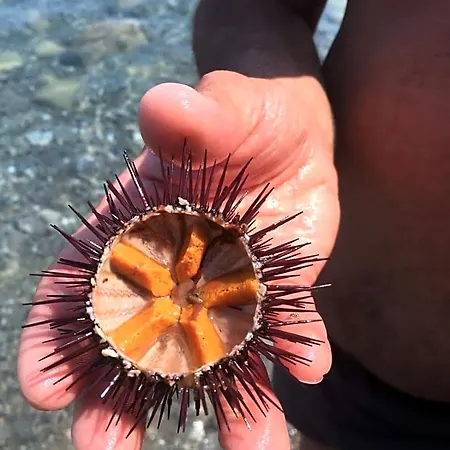 Il Vicoletto 3* Frascineto