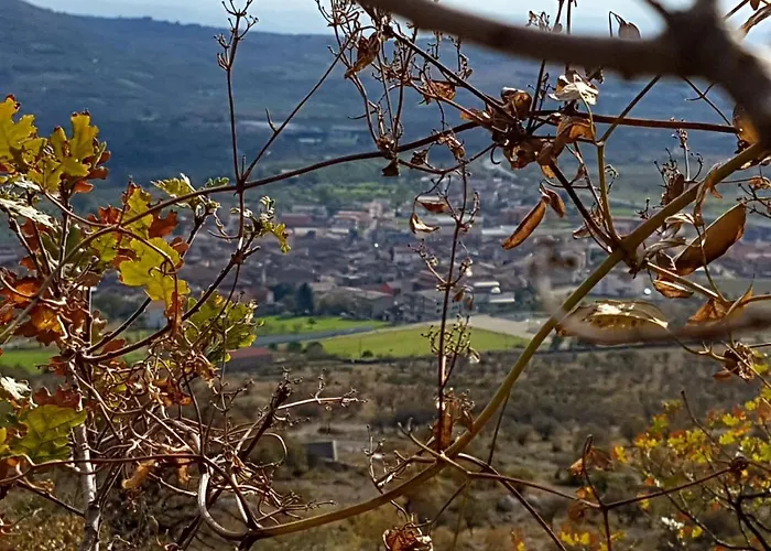 Il Vicoletto Alojamento de Acomodação e Pequeno-almoço