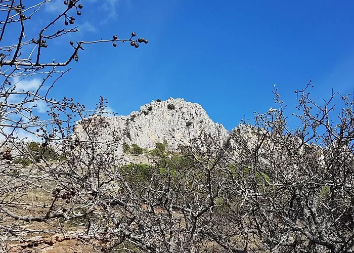 Il Vicoletto 3* Frascineto