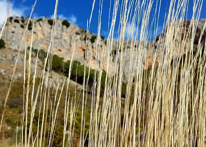 Il Vicoletto Frühstückspension Frascineto