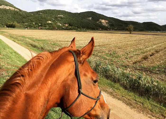 Il Vicoletto Frascineto