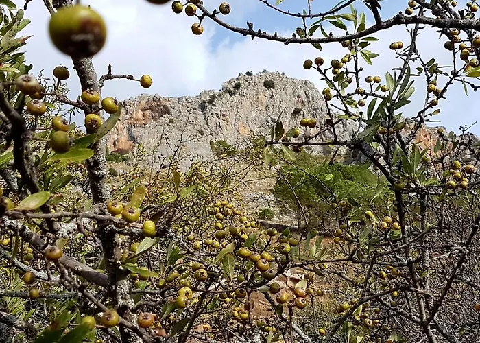 Il Vicoletto 3* Frascineto