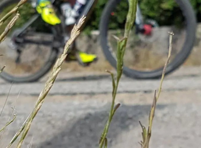 Il Vicoletto 3* Frascineto