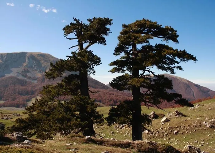 Alojamento de Acomodação e Pequeno-almoço Il Vicoletto Frascineto