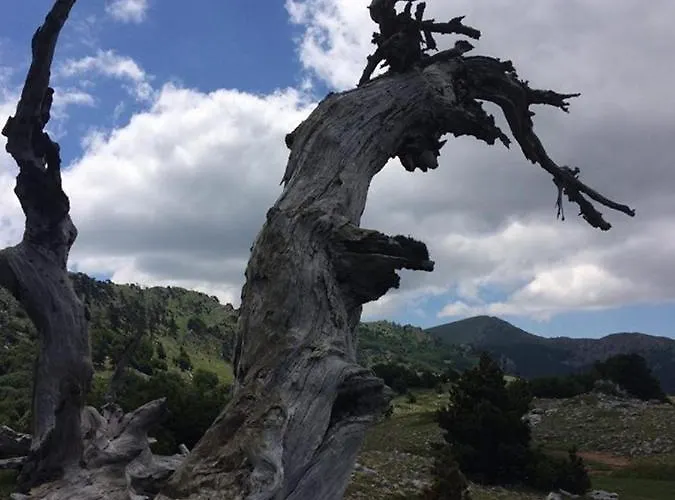 Il Vicoletto Frascineto