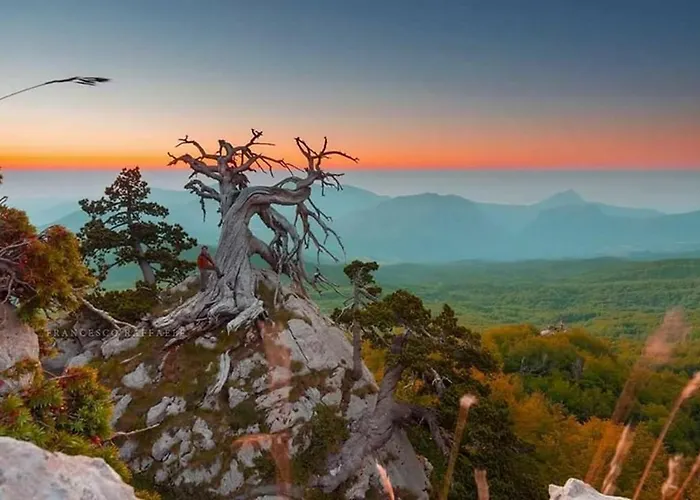 Il Vicoletto Alojamento de Acomodação e Pequeno-almoço
