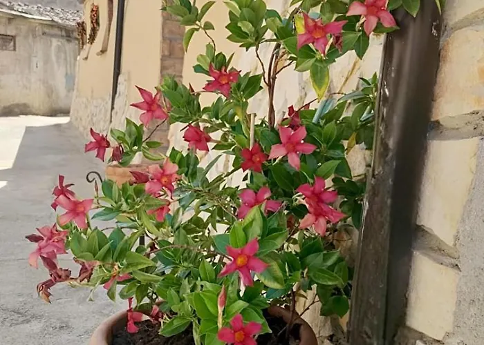 Frühstückspension Il Vicoletto